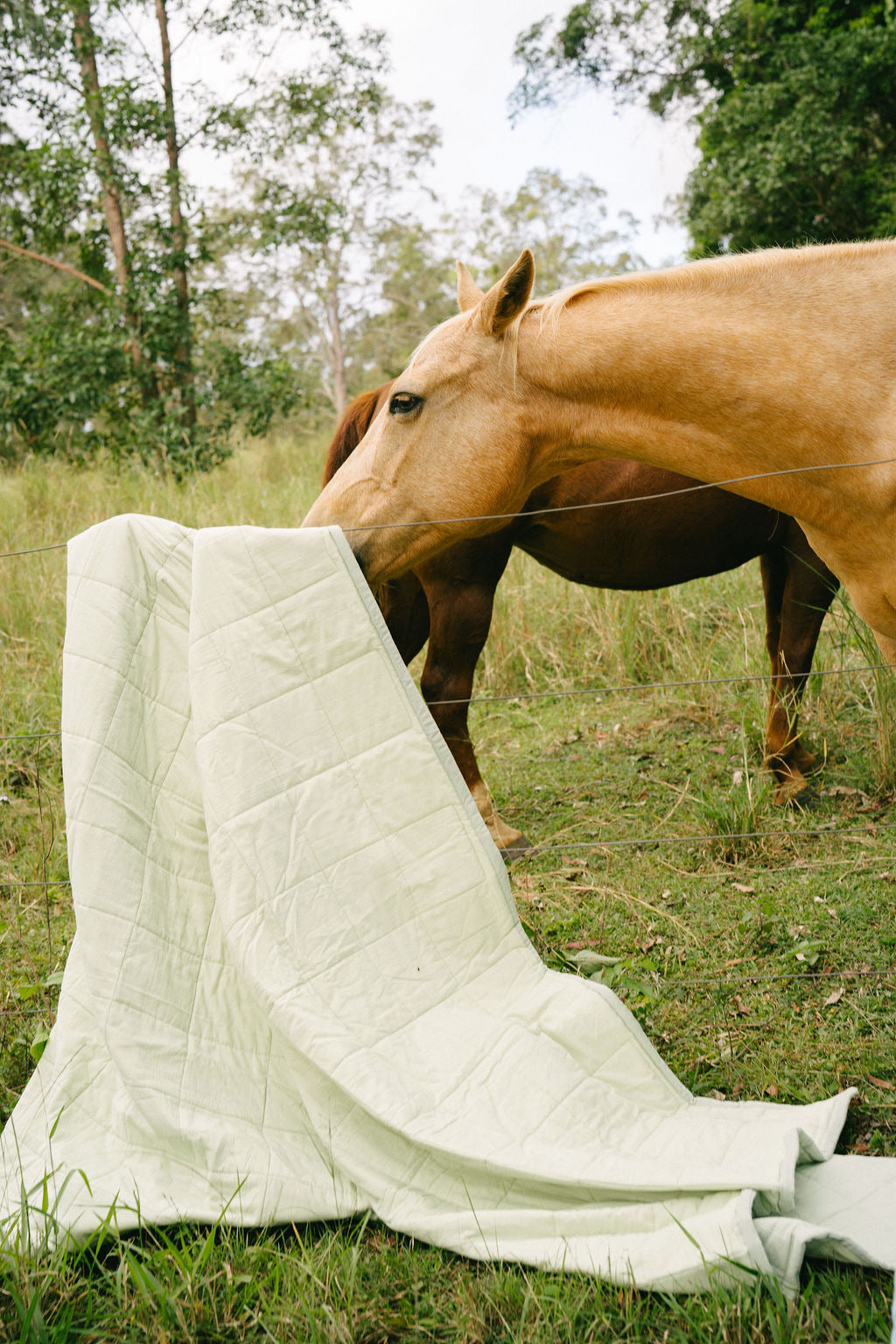 Pistachio Palette Reversible Quilt (Pre Order July)